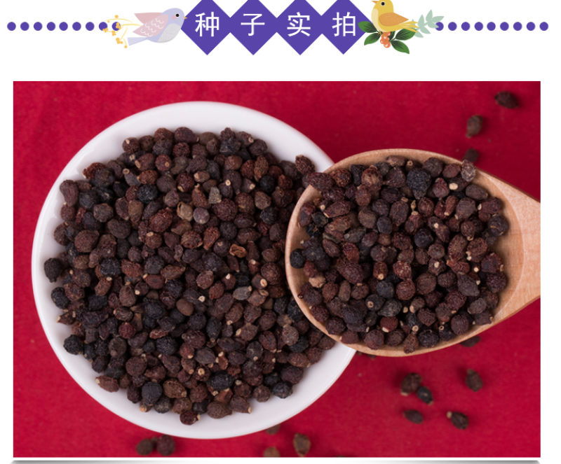 蓝花鸢尾种子鸢尾种子紫蝴蝶耐寒耐旱庭院工程绿化种植