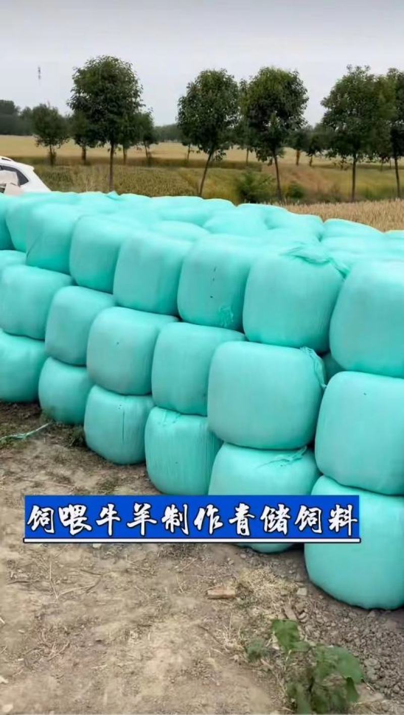 玉米秸秆，精品黄储大量上市，货源充足，可做牛羊饲料