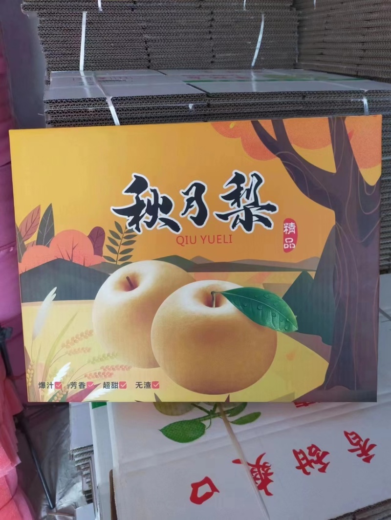 秋月梨果肉细腻纯甜化渣果面干净产地直供质量保证！