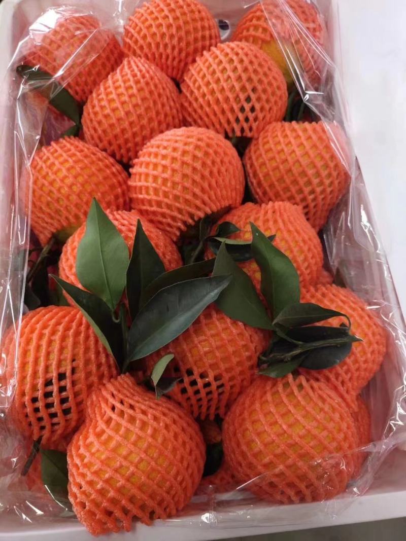 [推荐]眉山精品爱媛橙品质保障商场超市的选择，量大价更优