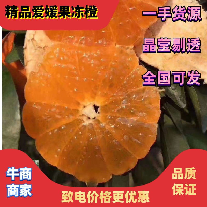 [推荐]眉山精品爱媛橙品质保障商场超市的选择，量大价更优