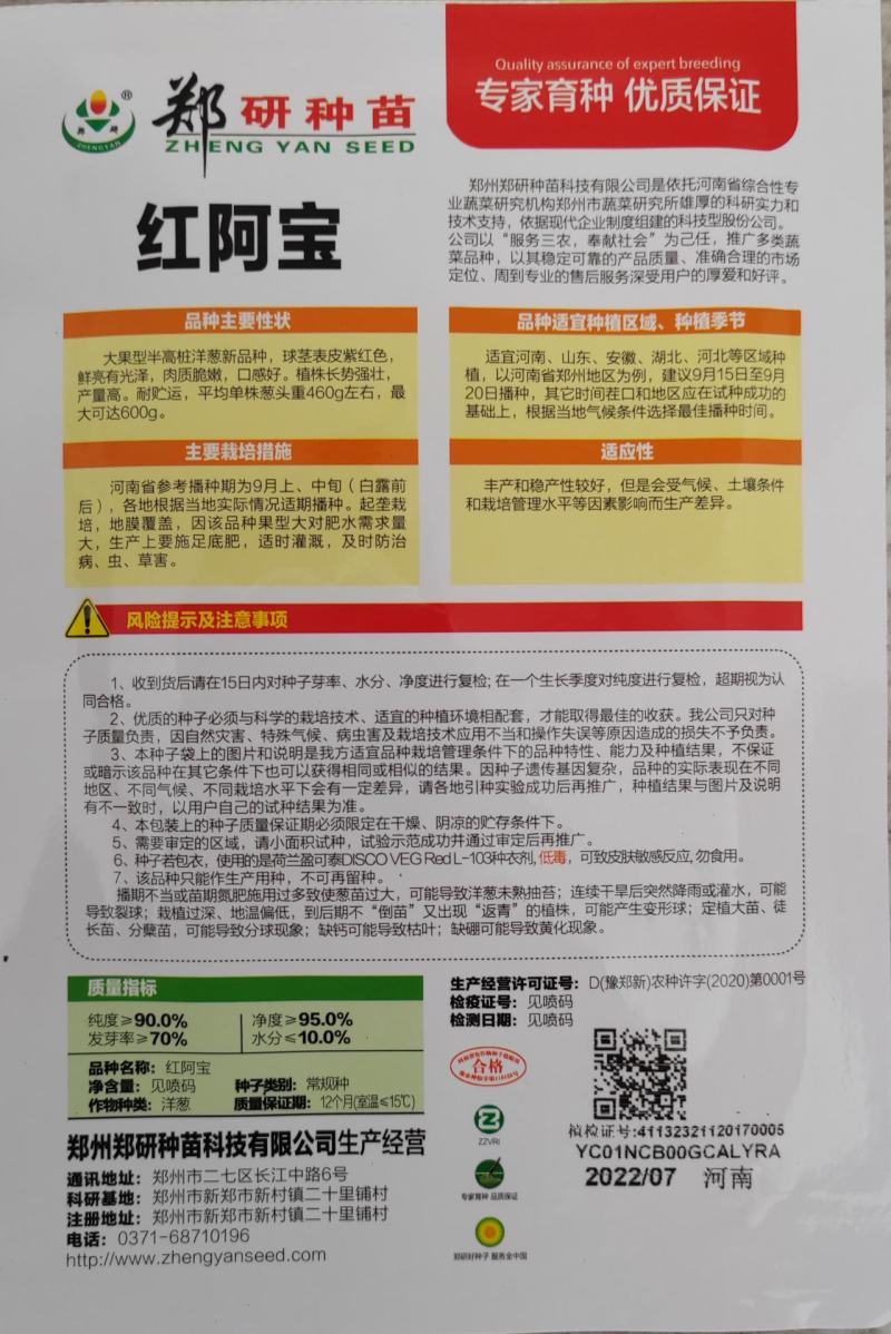 二红洋葱种子大果形半高桩洋葱种子表皮紫红色