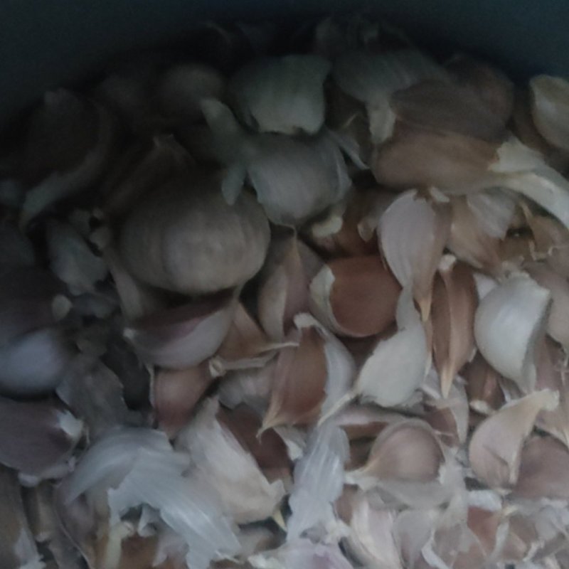 红根蒜苗种子