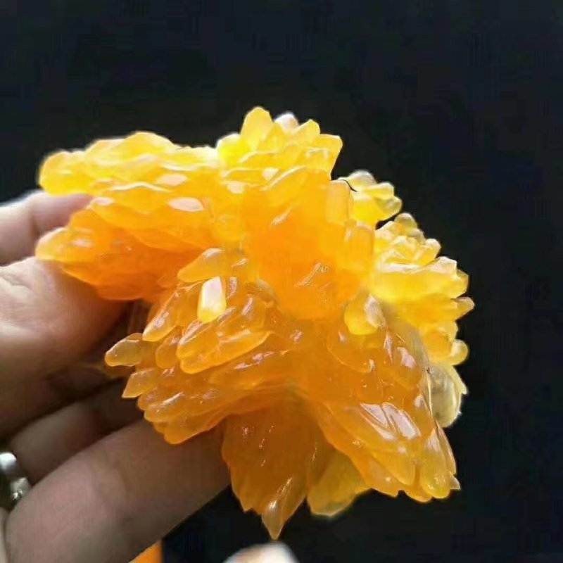 供应100～110的大果好货耙耙柑产地直发量大从优