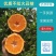 供应链，只对接商超，眉山精品不知火柑桔丑桔，其它勿扰