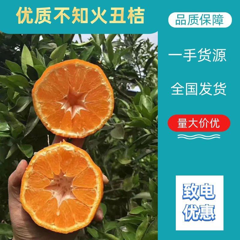 供应链，只对接商超，眉山精品不知火柑桔丑桔，其它勿扰