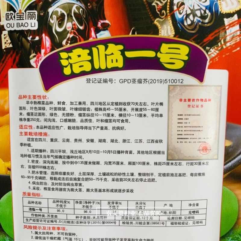 涪临一号榨菜种子早中熟品种四川榨菜种子鲜食加工两用