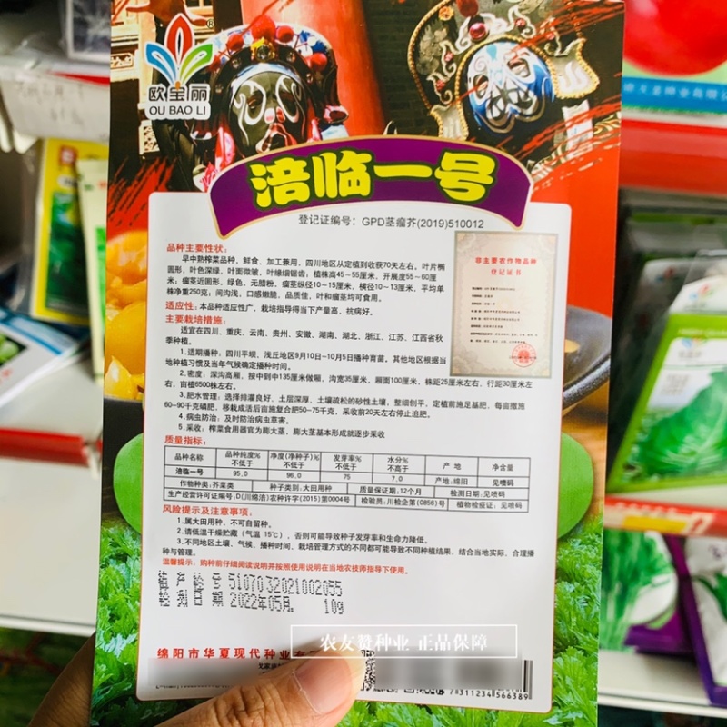 涪临一号榨菜种子早中熟品种四川榨菜种子鲜食加工两用