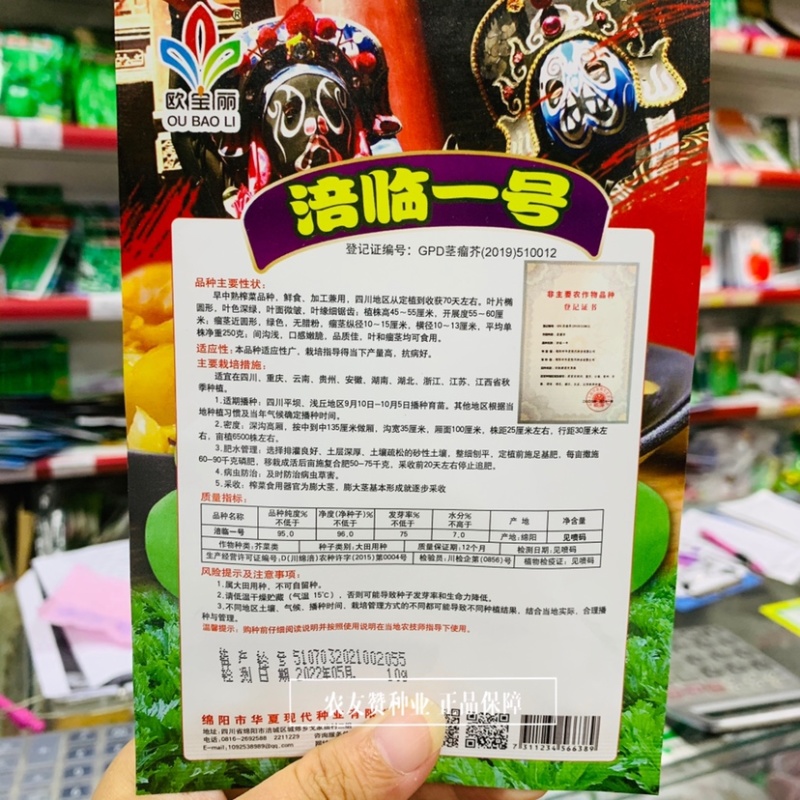 涪临一号榨菜种子早中熟品种四川榨菜种子鲜食加工两用