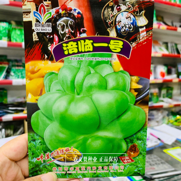 涪临一号榨菜种子早中熟品种四川榨菜种子鲜食加工两用