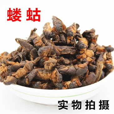蝼蛄中药材蝼蛄拉拉蛄500克包邮蝼蛄干