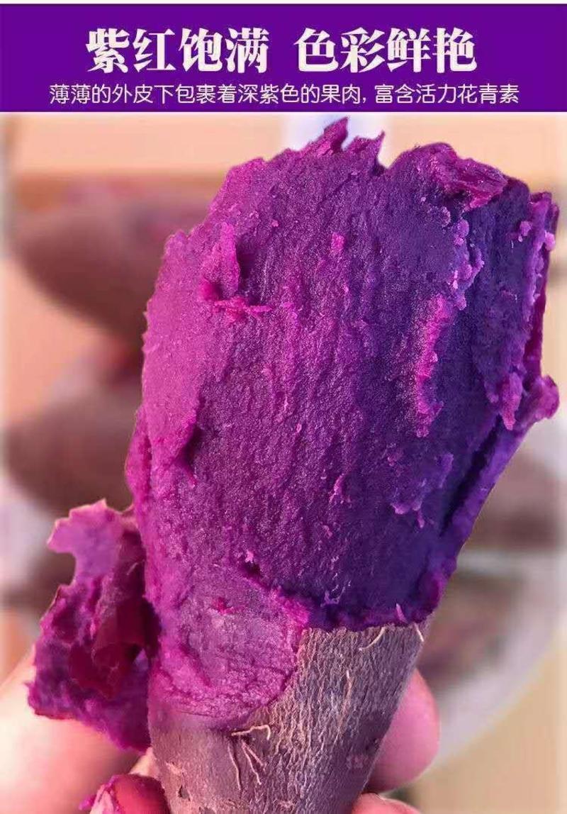 云南精品紫薯，口感软糯香甜，产地直供，货源充足可发全国