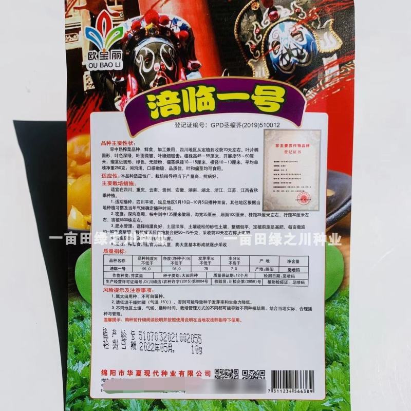 四川特色榨菜种子口感嫩脆，鲜食加工兼用榨菜芥菜种子