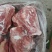 前上肉两片装带肉均匀没有刀伤物美价廉一手厂家