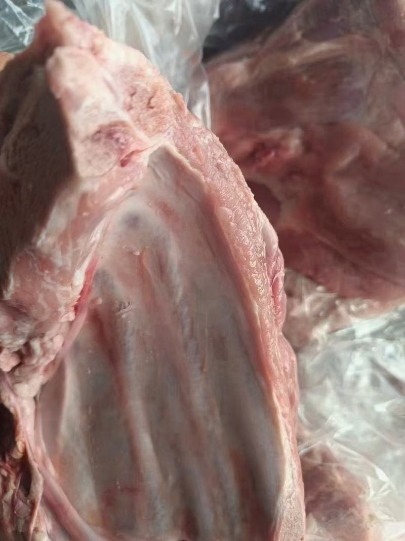 前上肉两片装带肉均匀没有刀伤物美价廉一手厂家