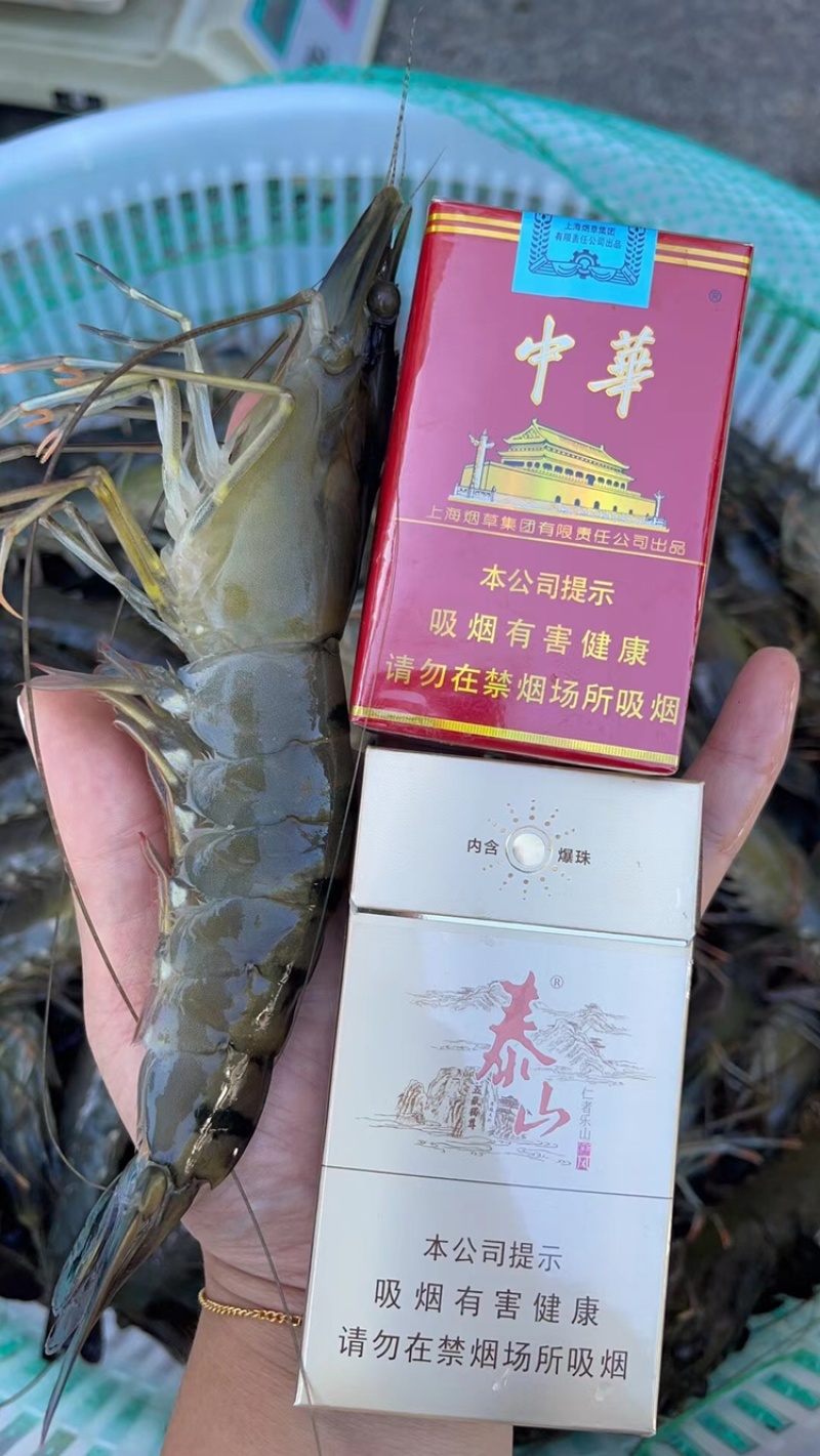 鲜活黑虎虾草虾金刚虾班节王大虾