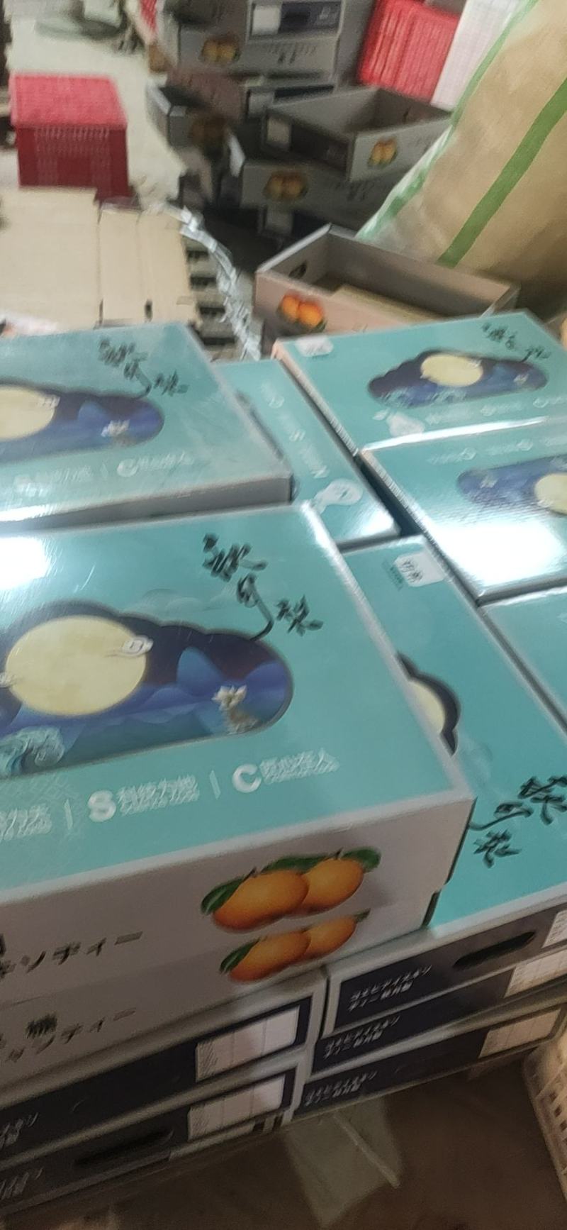 丰水梨，万亩梨园，货量充足。合作共赢，诚信为本。