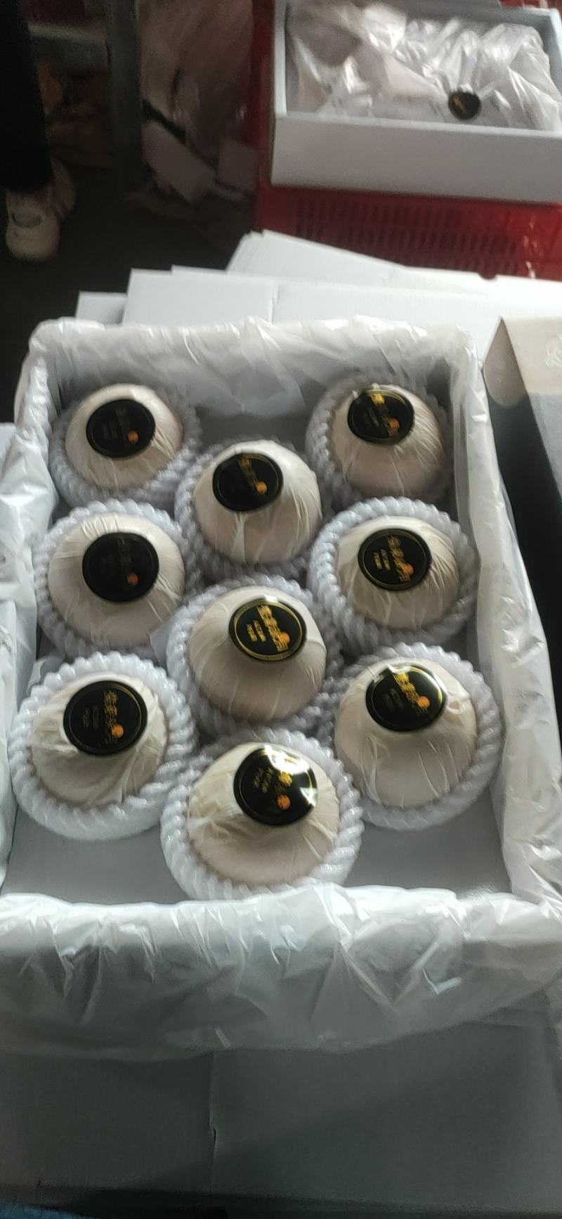 丰水梨，万亩梨园，货量充足。合作共赢，诚信为本。