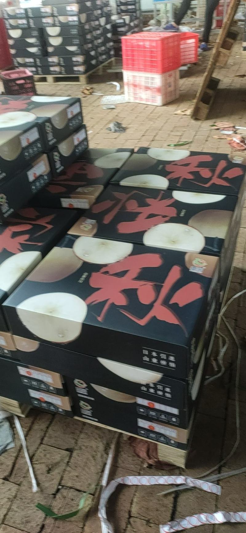 丰水梨，万亩梨园，货量充足。合作共赢，诚信为本。