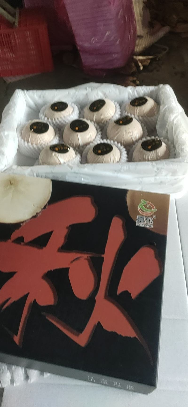 丰水梨，万亩梨园，货量充足。合作共赢，诚信为本。