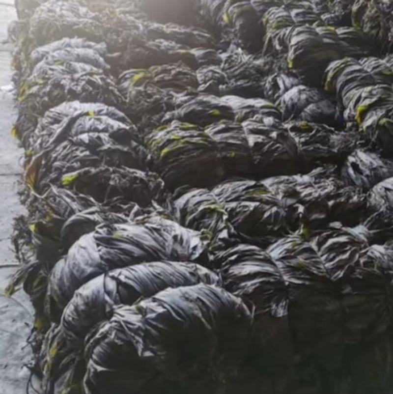 山东海带福建干海带挂菜半挂菜海带皮海带干海带丝压缩海带丝