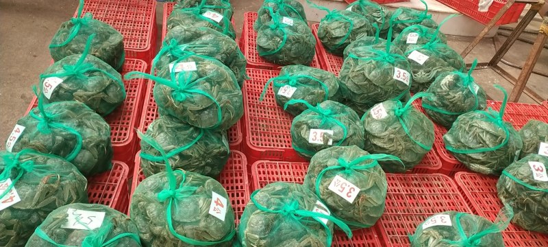湖北清大闸蟹，精品母蟹，河蟹，欢迎来电洽谈，优惠多多哦！