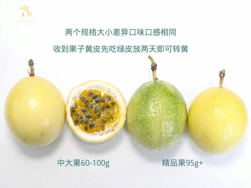 钦蜜9号芭乐味黄金百香果纯甜无酸产地现摘现发