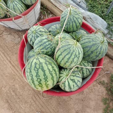 大鹏美都