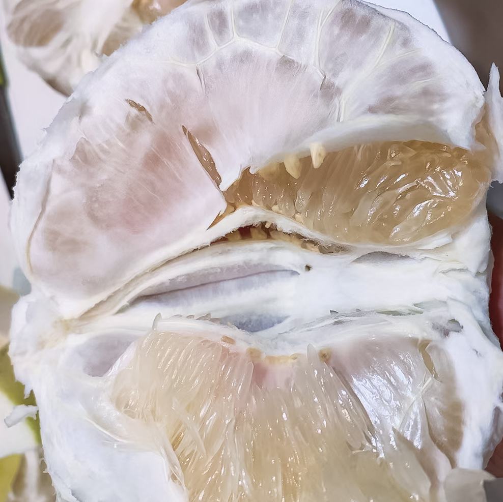 蜜柚果肉特写