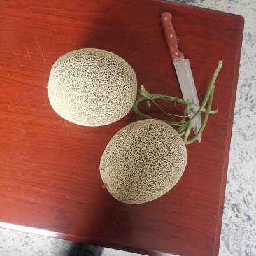 网纹瓜
