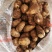 山东毛芋头产地8520毛芋头口感软糯可发货保证质量