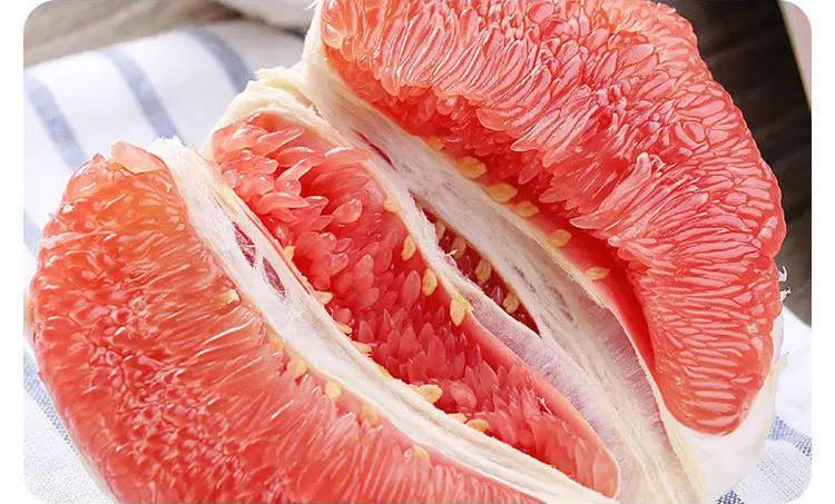 红蜜柚果园特写