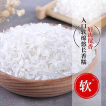 猫牙米梗米长粒米现碾现发支持一件批发电商籼米
