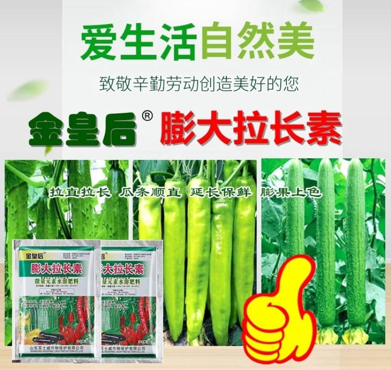 黄瓜辣椒豆角拉直膨大植物调节拉直作物拉长膨大素