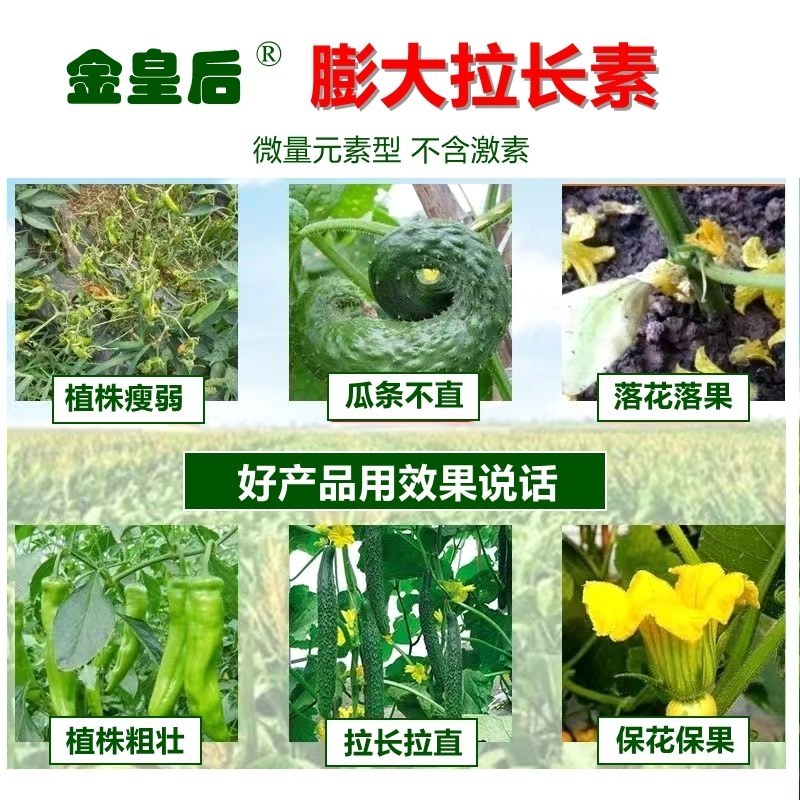 黄瓜辣椒豆角拉直膨大植物调节拉直作物拉长膨大素