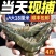 新鲜海捕青岛大虾大号冷冻基围虾批发【顺丰包邮】