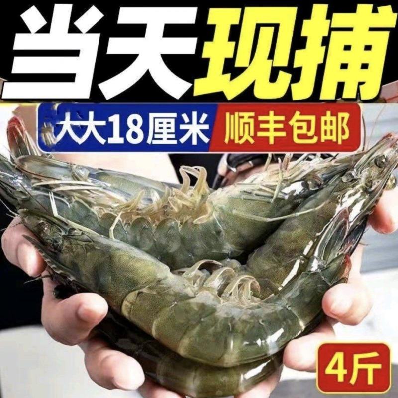 新鲜海捕青岛大虾大号冷冻基围虾批发【顺丰包邮】