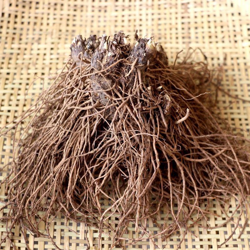 苍术新货苍术干货统货个子仓术南苍术茅苍术