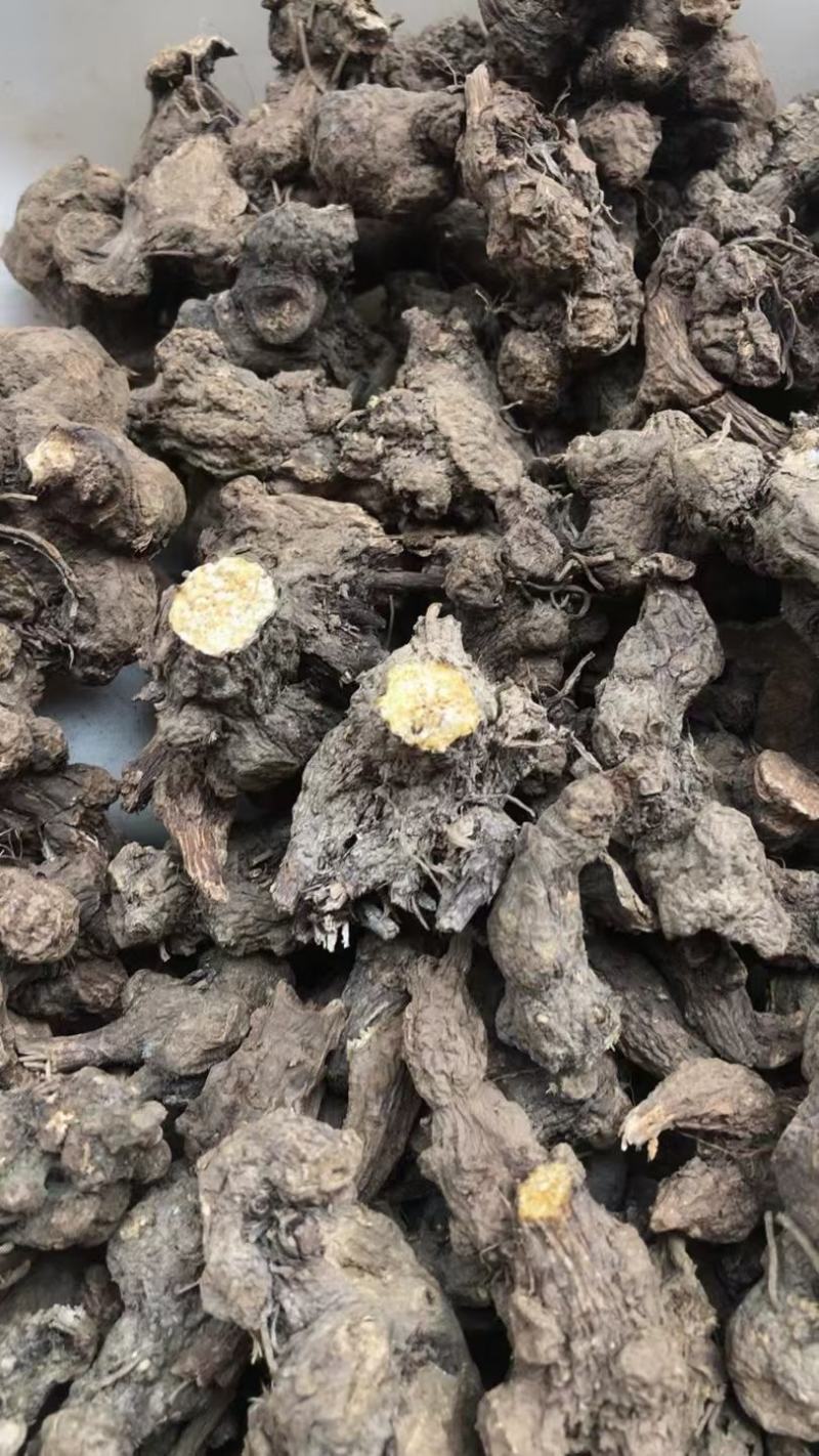 苍术新货苍术干货统货个子仓术南苍术茅苍术