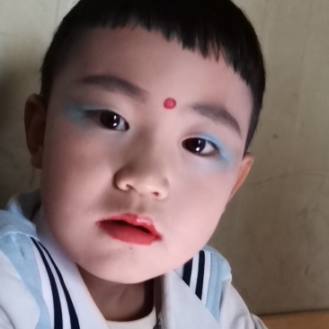 甘肃中药旱蜗牛