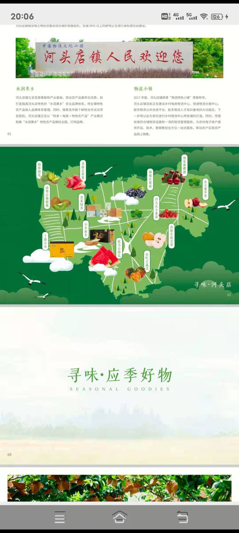 我村有一千亩秋月梨开始上市了