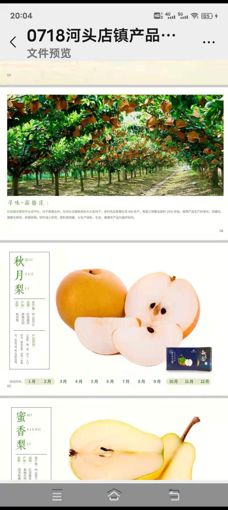 我村有一千亩秋月梨开始上市了