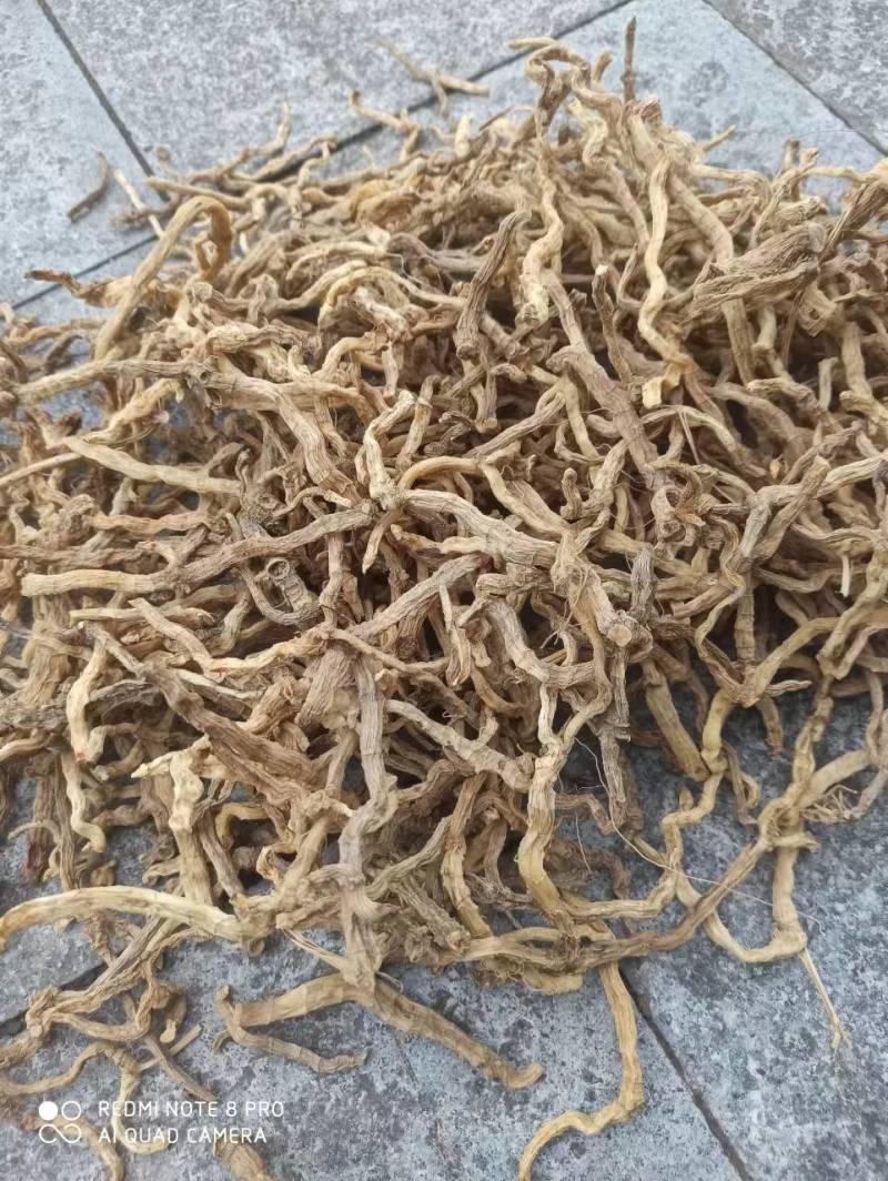 现货玉竹，优质野生玉竹，无杂玉竹大量供应