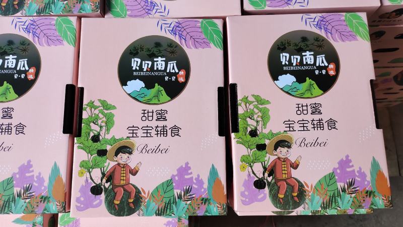 贝贝南瓜贝贝南瓜礼盒一手货源品质保证可视频欢迎下单