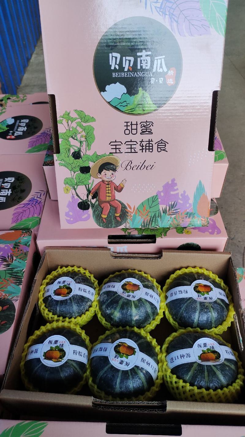贝贝南瓜贝贝南瓜礼盒一手货源品质保证可视频欢迎下单