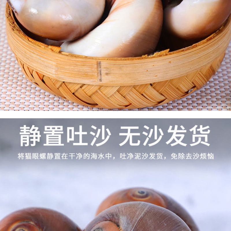 鲜活新鲜无沙吐沙猫眼螺玉螺香螺沙螺翡翠螺螺类批发