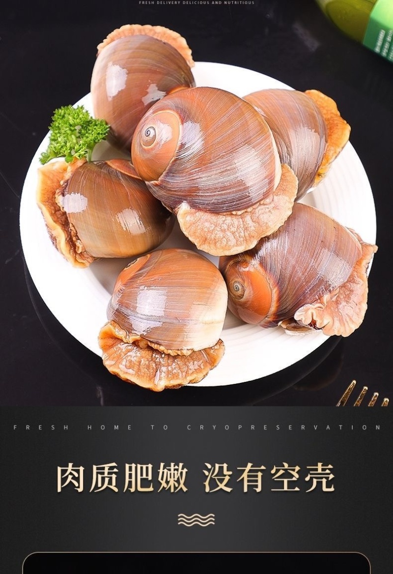 鲜活新鲜无沙吐沙猫眼螺玉螺香螺沙螺翡翠螺螺类批发