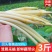 一件代发农家新鲜藕带时令蔬菜鲜藕条无藕尖藕肠藕稍湖北
