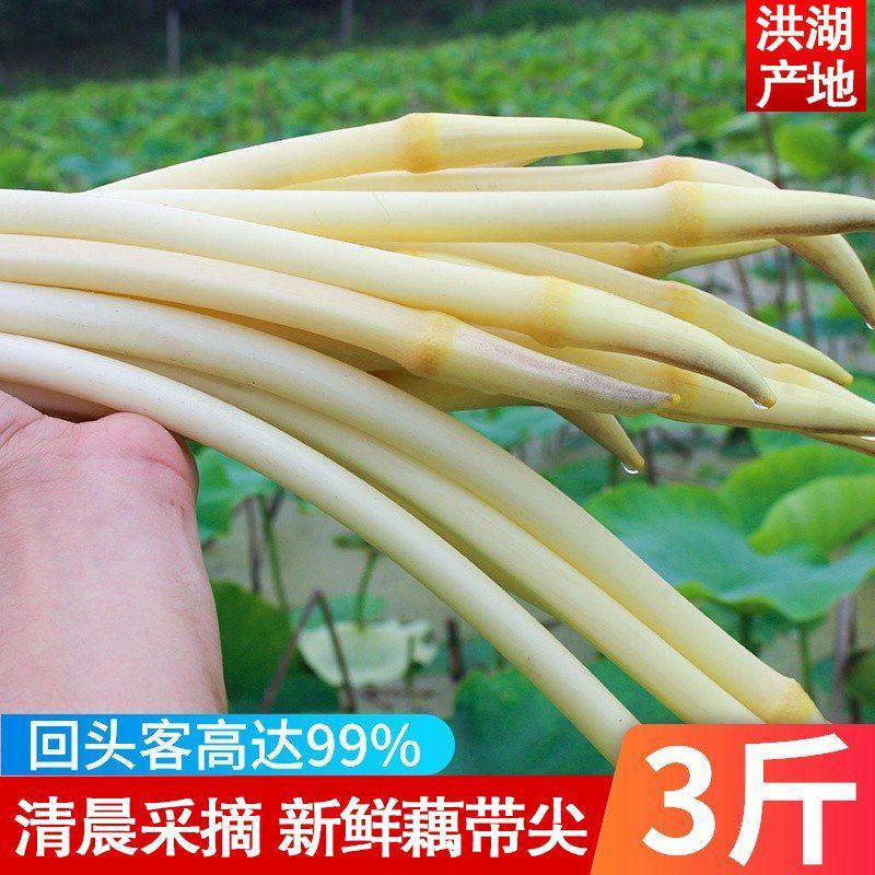 一件代发农家新鲜藕带时令蔬菜鲜藕条无藕尖藕肠藕稍湖北