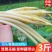一件代发农家新鲜藕带时令蔬菜鲜藕条无藕尖藕肠藕稍湖北